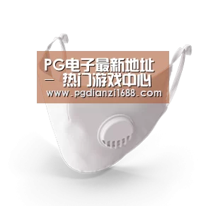 N95 口罩