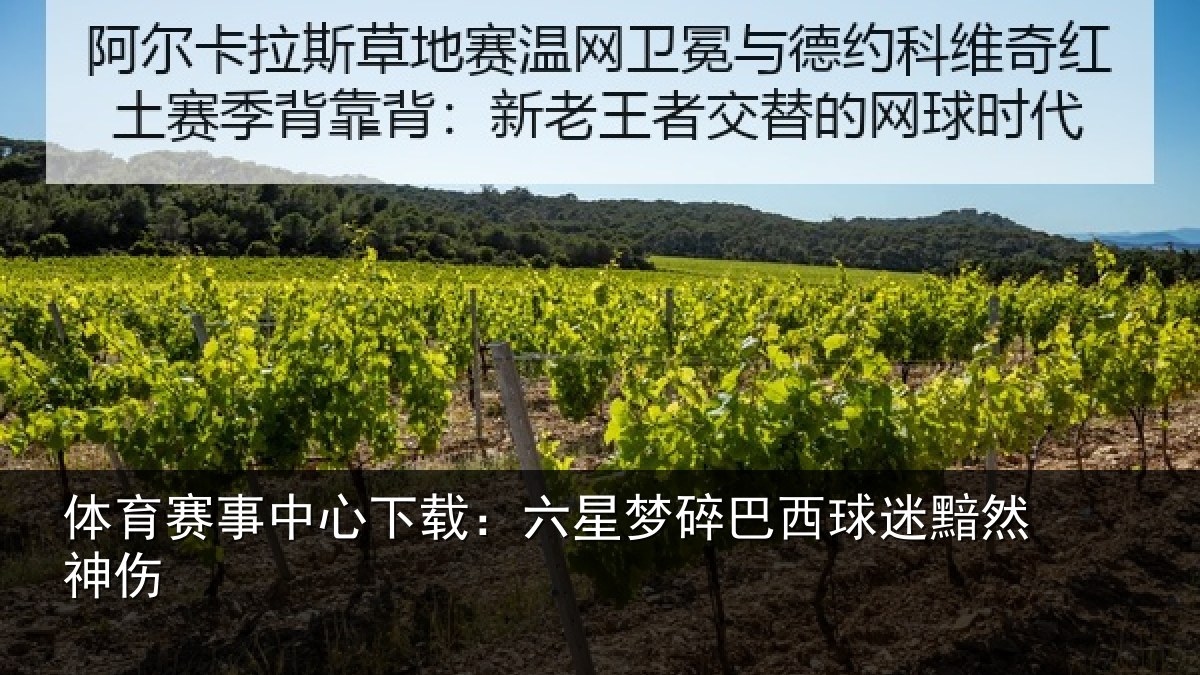 体育赛事中心下载：六星梦碎巴西球迷黯然神伤