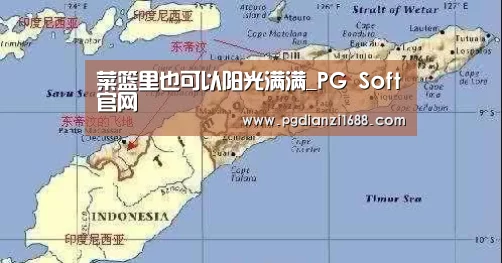 菜篮里也可以阳光满满_PG Soft官网(图1) PG电子最新地址