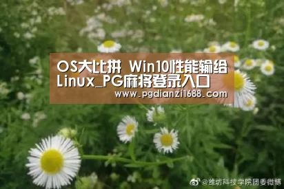OS大比拼 Win10性能输给Linux_PG麻将登录入口(图1) PG麻将登录入口