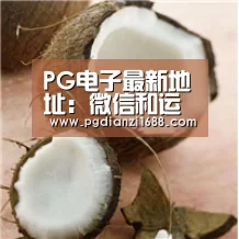 PG麻将登录入口