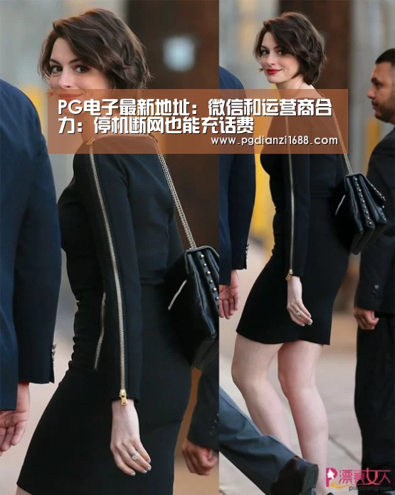 PG麻将官网入口
